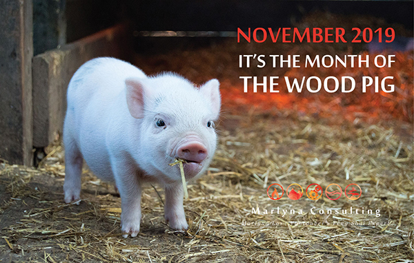 Wood Pig Month, November 2019