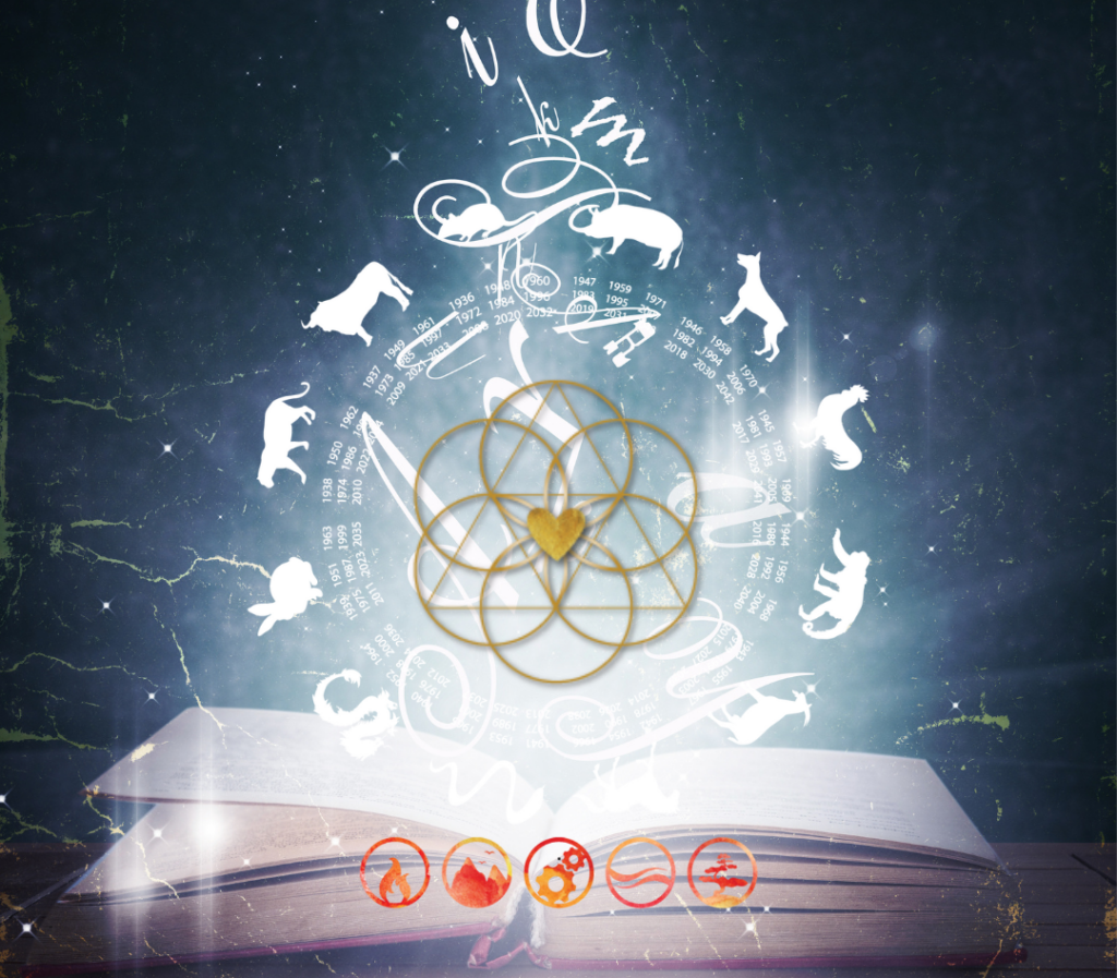 12 zodiac animals chinese astrology with book of learning image