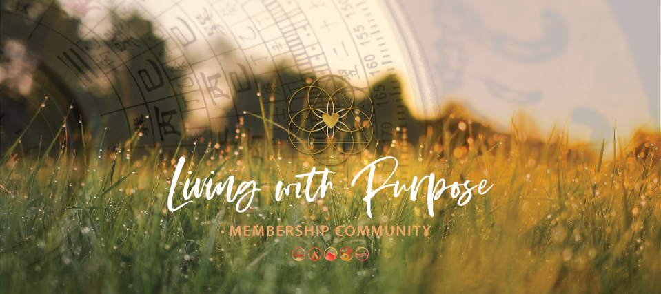 Living With Purpose: December 2025